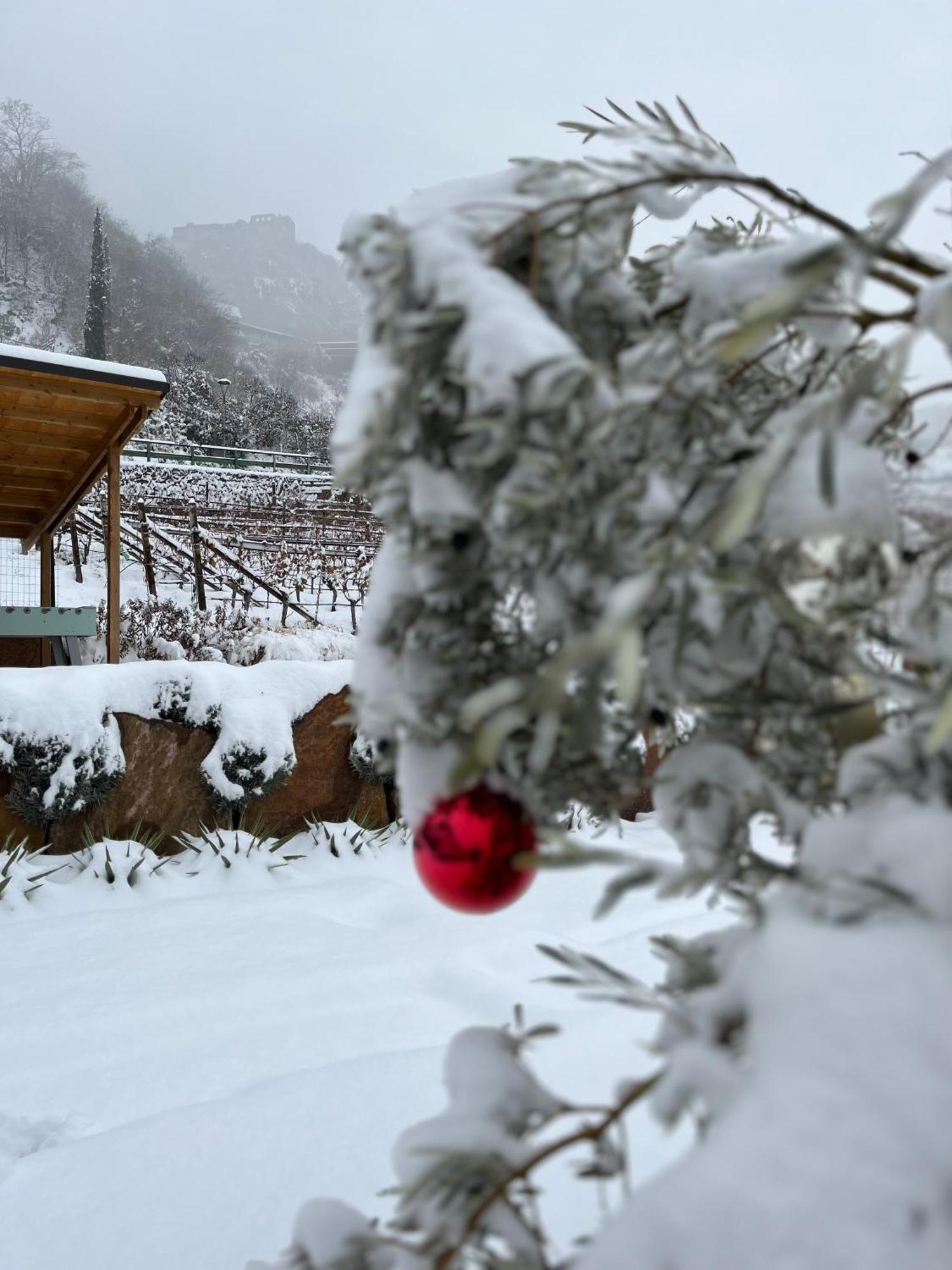 Egarter Lägenhet Eppan an der Weinstraße Exteriör bild